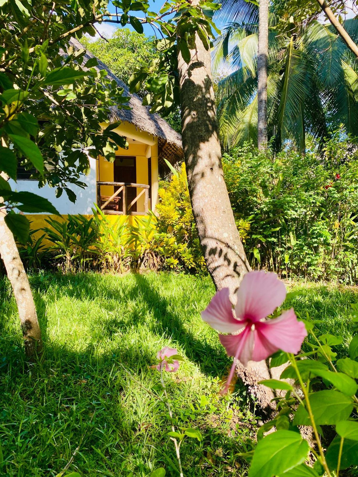 Mangrove Lodge Занзибар Экстерьер фото