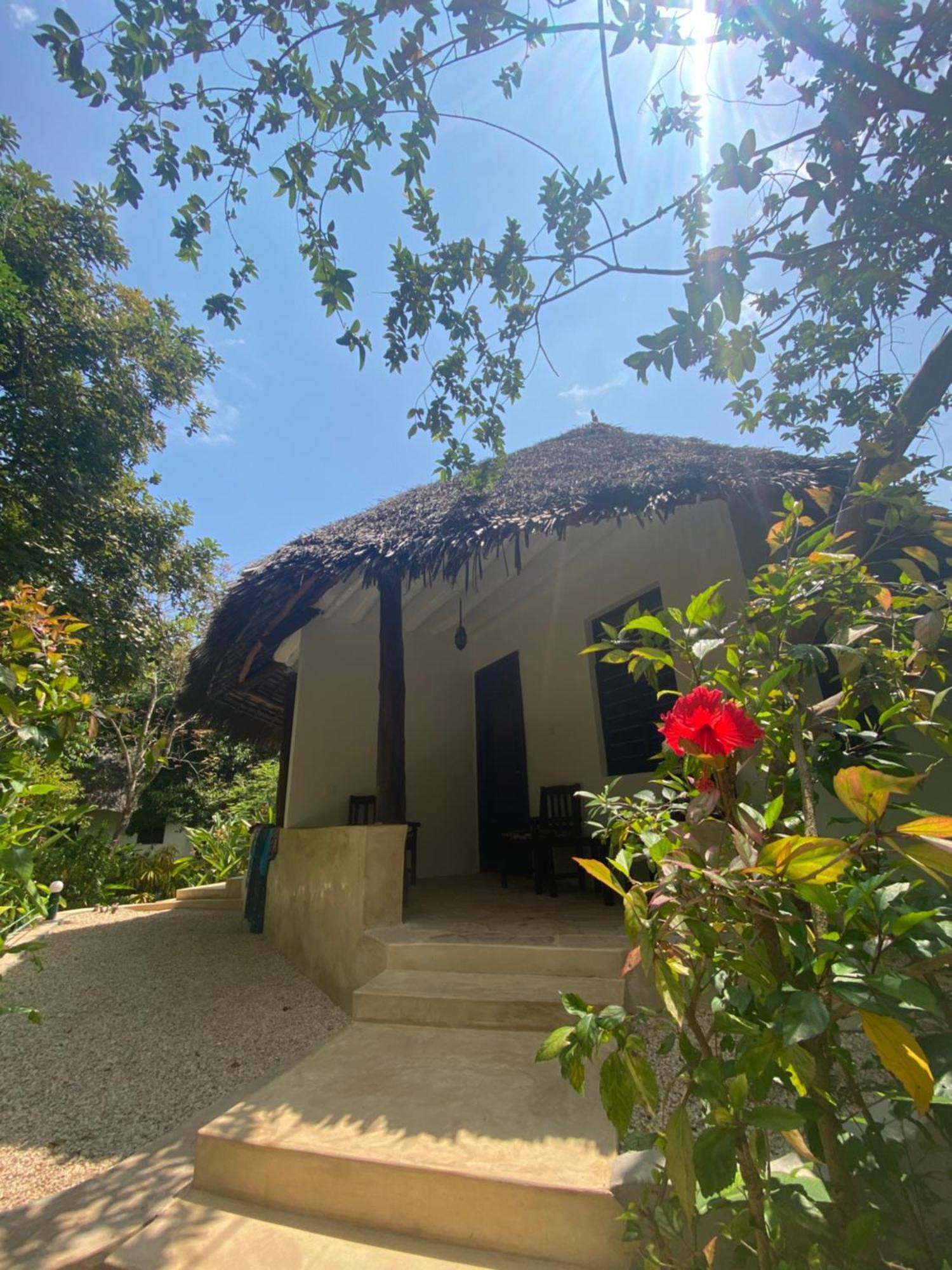 Mangrove Lodge Занзибар Экстерьер фото