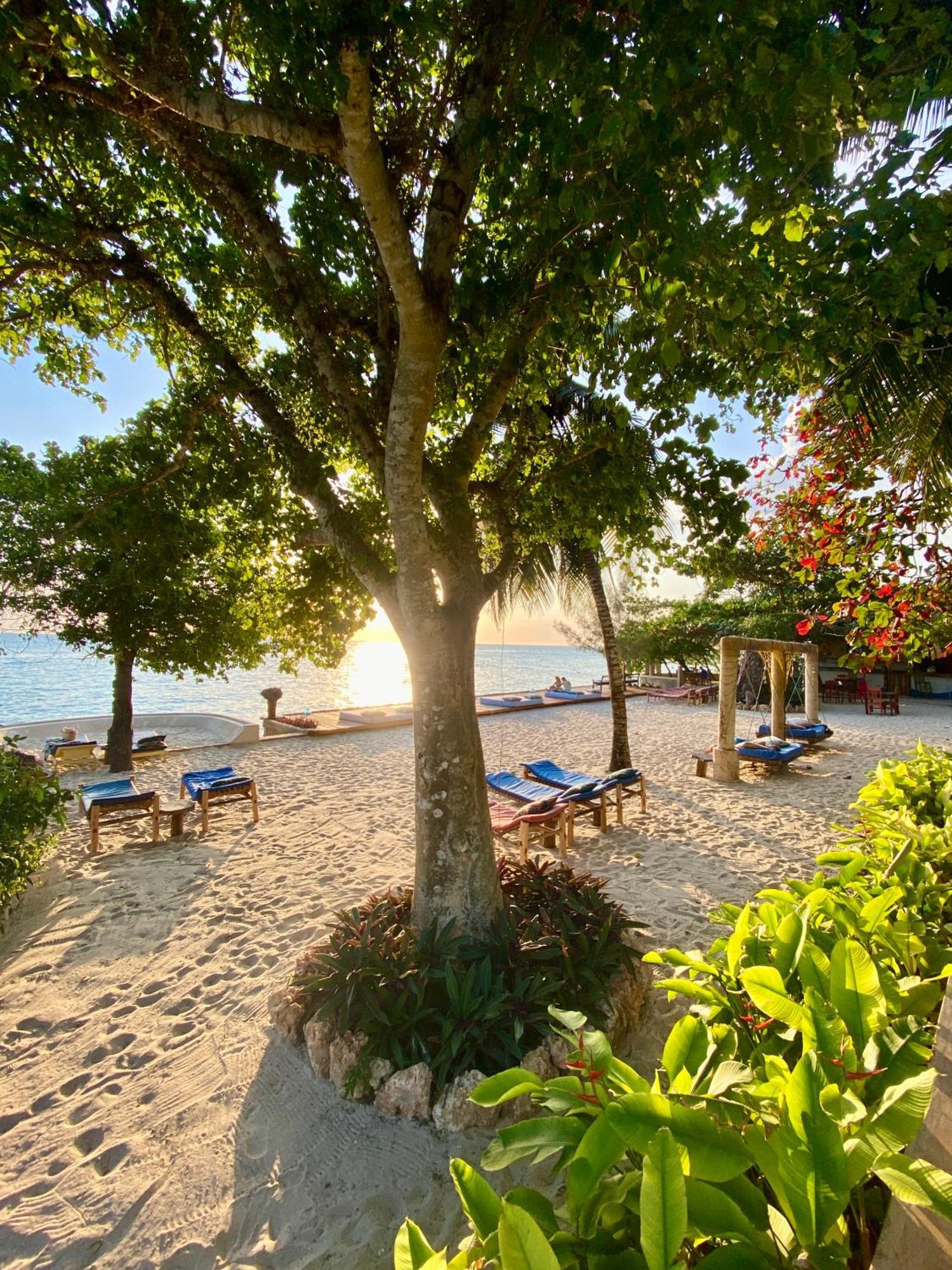 Mangrove Lodge Занзибар Экстерьер фото