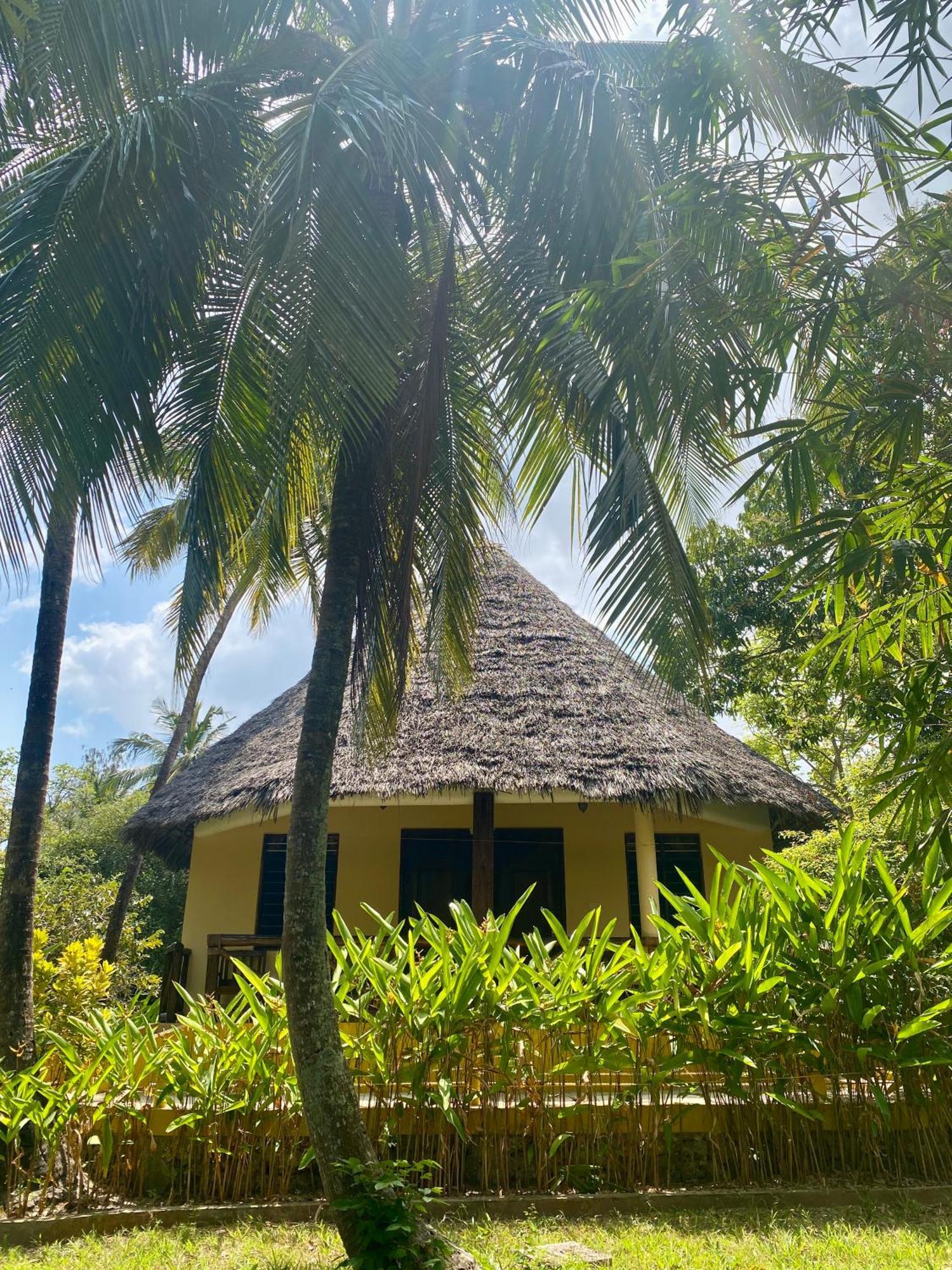 Mangrove Lodge Занзибар Экстерьер фото